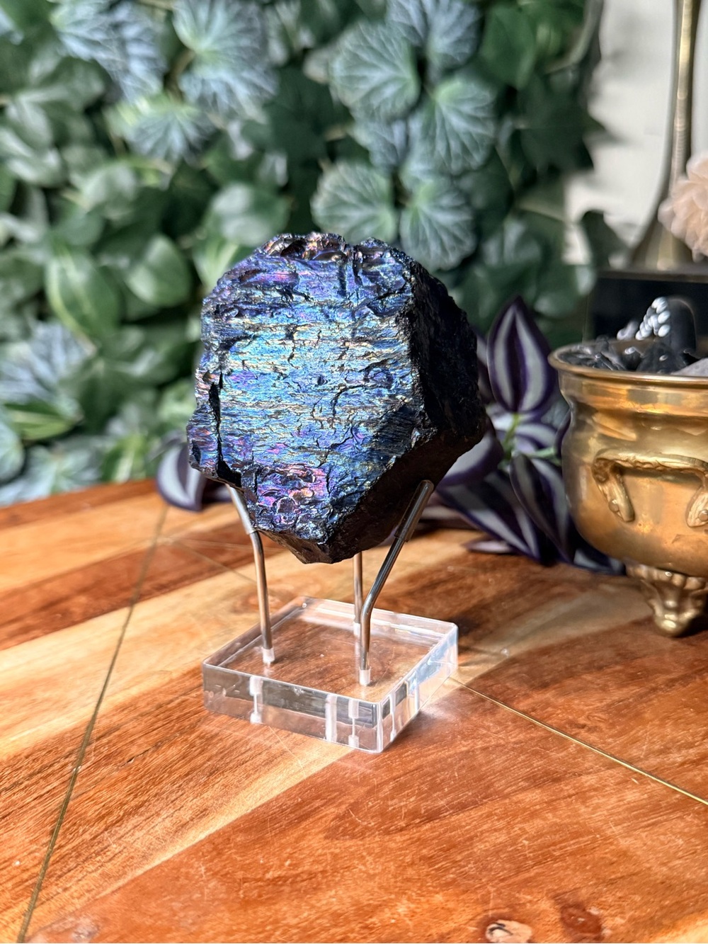 Peacock Coal